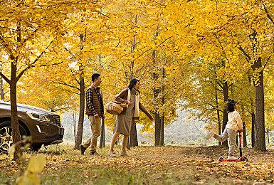 《索尼克：未知边境》新MOD减少穿模现象